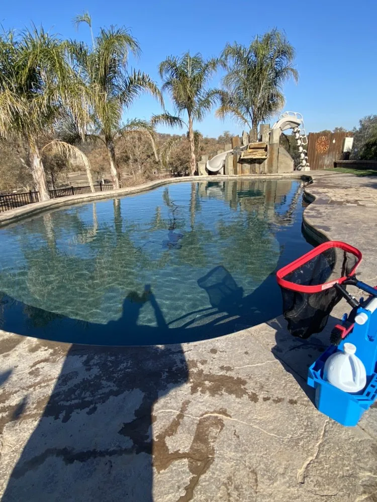 A palm-lined backyard pool with a pool net and chemical jugs on the deck